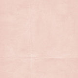 49 And Market Solids Collection Pack 12"X12"-The Looking Glass - Postage as per Actual