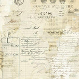 49 and Market Solids Collection Pack 12"X12"-Faded Memory Lane - Postage as per Actual