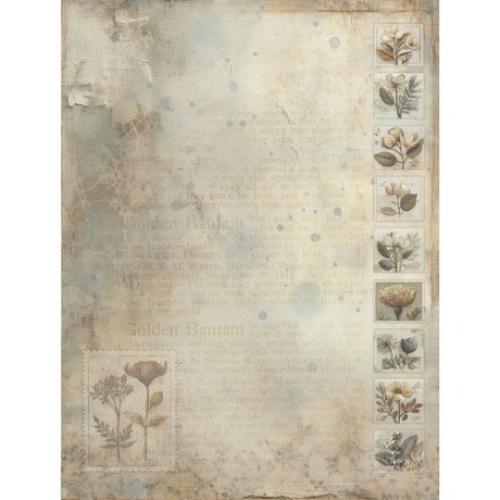 49 and Market Collection Pack 6"X8"-Faded Memory Lane