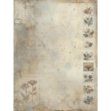 49 and Market Collection Pack 6"X8"-Faded Memory Lane
