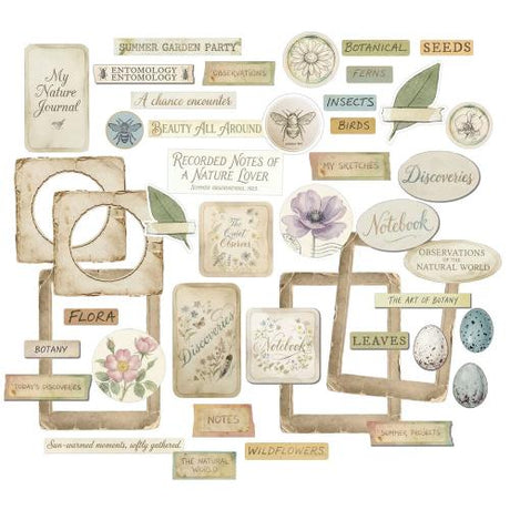 49 and Market The Quiet Observer Chipboard Set