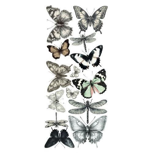 Ciao Bella Typographic Transparent Adhesive Sheets (5pcs) (CBI014)