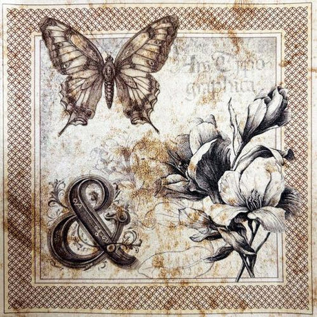 Ciao Bella Typographic 6x6 Inch Deluxe Paper Pearl Copper & Vellum Dual Pack Mixed (6pcs) (CBXQ008)