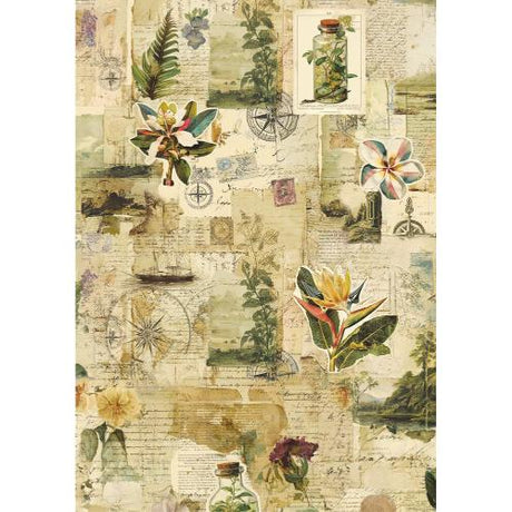 Ciao Bella Jungle Vibes A5 Rice Paper Mixed (8pcs) (CBRS041)