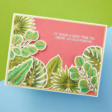 Spellbinders - Tropical Leaves Press Plate & Die Set