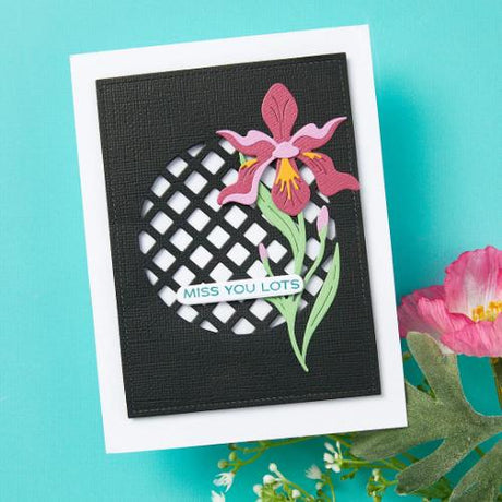 Spellbinders - Stitched Edge Circle Backgrounds Etched Dies