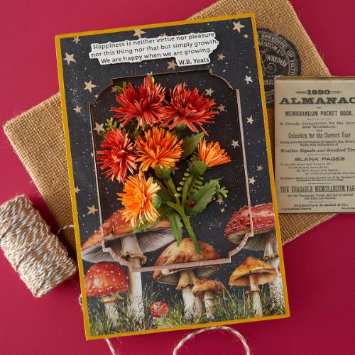 Spellbinders - Serenity Garden Die Bundle by Susan Tierney-Cockburn - Postage as per Actual