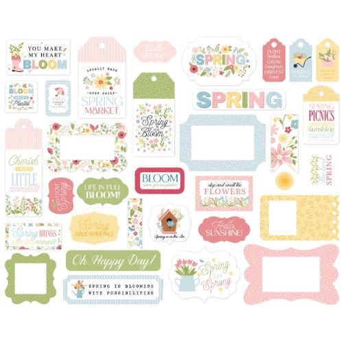 Echo Park In Full Bloom Frames & Tags (IFB484025)