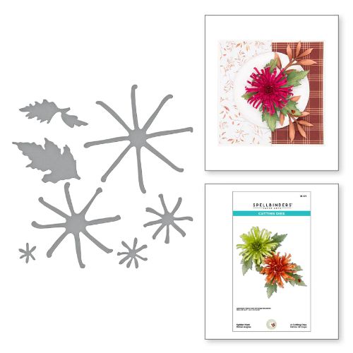 Spellbinders - Spider Mum Etched Dies