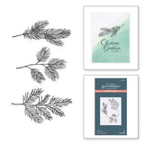 Spellbinders - Evergreen Branches Press Plate