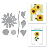 Spellbinders - Sunflower Serenade Etched Dies