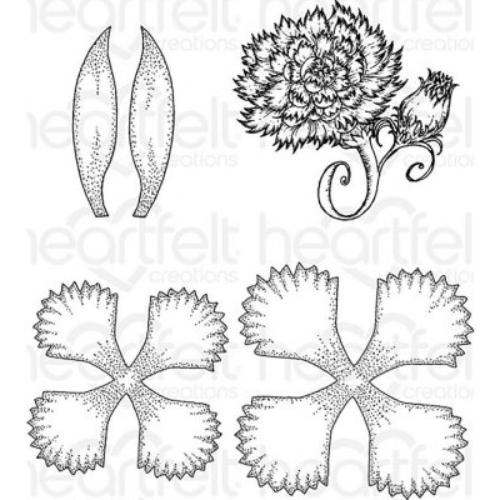 Heartfelt Creations - Large Camelia Carnation HCPC-3807