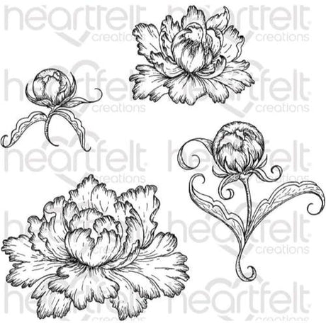 Heartfelt Creations - Peony Bud And Blossom Stamp HCPC-3821