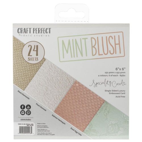 Craft Perfect Luxury Embossed Cardstock 6"X6" 24/Pkg Mint Blush