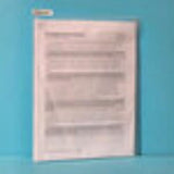 The Organized Option - 8.5 x 11" Flip Flap Pocket - 10 Pack - Postage as per Actual