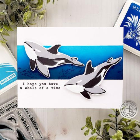 Hero Arts - Color Layering Stamp: CM536 Orca