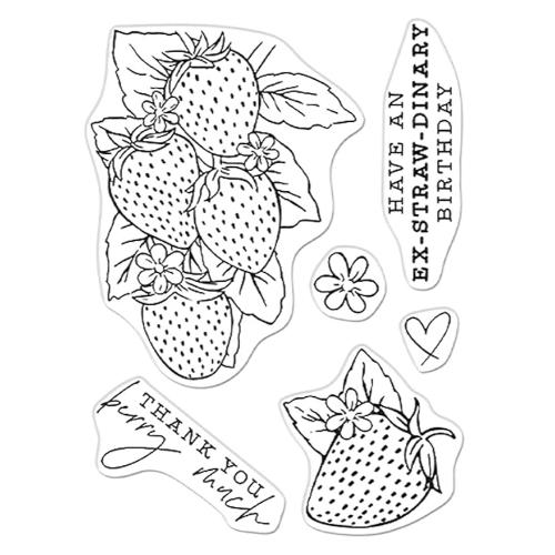 Hero Arts - Hero Florals Poly Clear: CM540 Strawberries Line Art