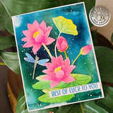 Hero Arts - Fancy Dies: DF002 Water Lillies