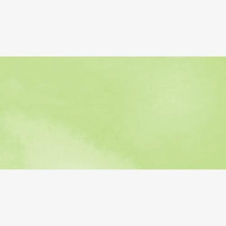 Royal Talens - Ecoline Watercolour Brush Pen - Pastel Green