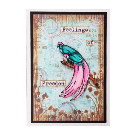 Studio Light Feelings of Freedom Clear Stamps Birds-of-paradise