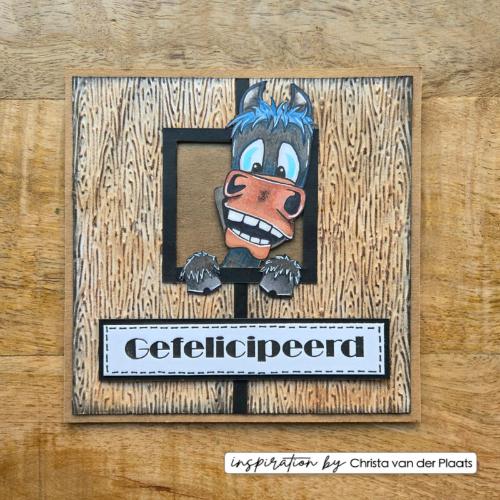 Vaessen Creative • 3D Embossing Folder by Carla Creates Wood on the Farm 5.9x5.9"