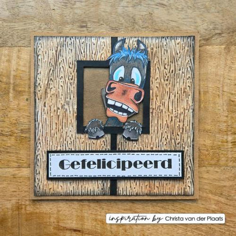 Vaessen Creative • 3D Embossing Folder by Carla Creates Wood on the Farm 5.9x5.9"