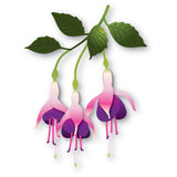 Memory Box - Delicate Fuchsia Trio craft die