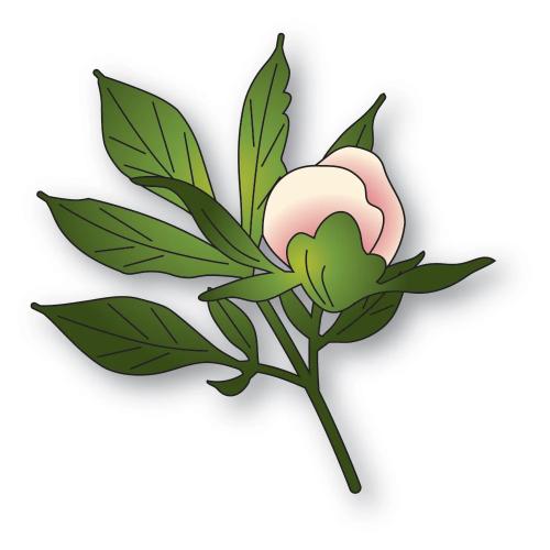 Memory Box - Tender Peony Bud craft die