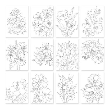 Altenew - Botanical Elegance: Capture the Colors of Nature Watercolor Coloring Book