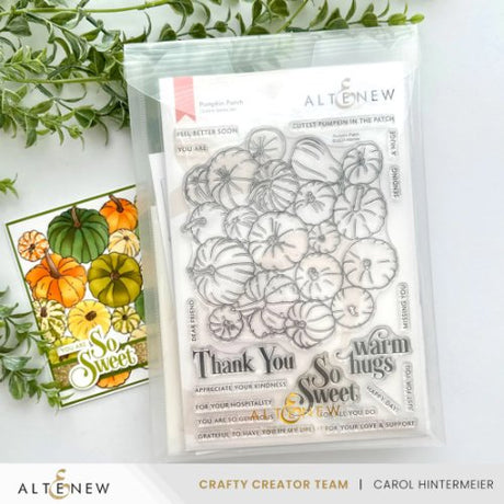 Altenew - Storage Pockets: 10.75" x 7.5" (10 pieces/set) - Postage as per Actual