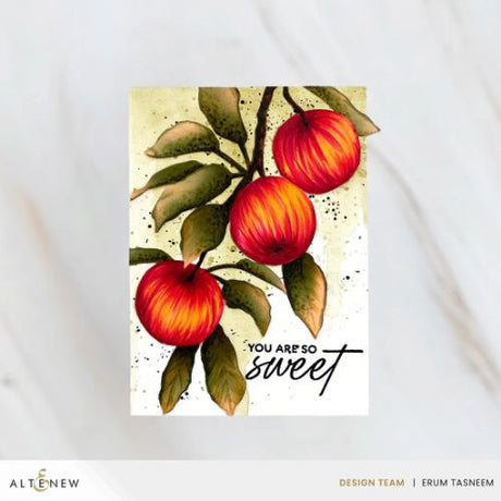 Altenew - Craft Your Life Project Kit: Sweet Harvest & Add-on Die Bundle - Postage as per Actual