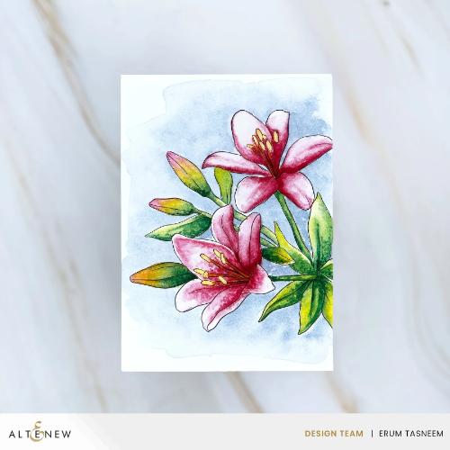 Altenew - Watercolor Compact - Moody Brights