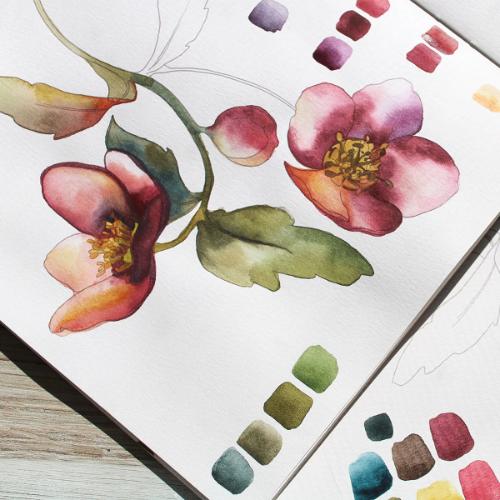 Altenew - Watercolor Compact - Deep Muse