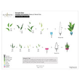 Altenew - Dynamic Duo: Hanging Houseplants