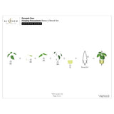 Altenew - Dynamic Duo: Hanging Houseplants