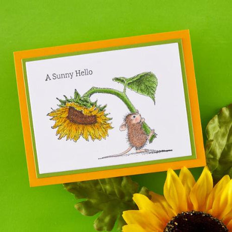 Spellbinders - House-Mouse Sunflower Walk Bundle - Postage as per Actual