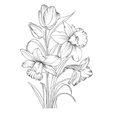 Spellbinders - Tulips and Daffodils Press + Foil Plate and Stencil Bundle by Yana Smakula