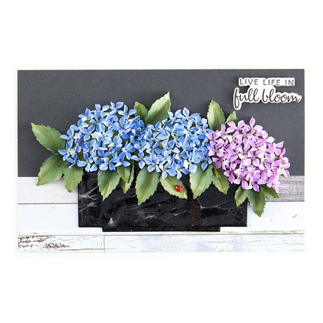 Spellbinders - Nature's Botanical Garden Sentiments Press Plate & Die Set