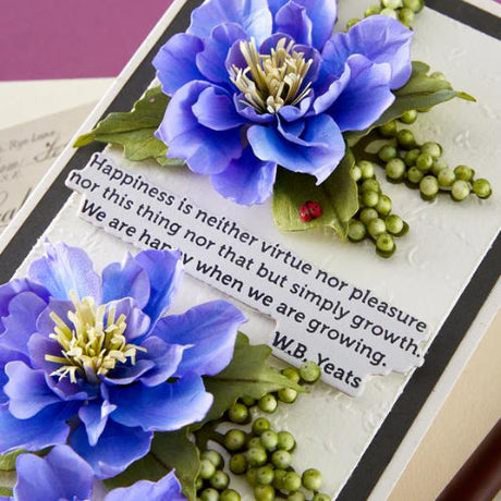 Spellbinders - The Poet's Garden Sentiments Press + Foil Plate & Die Set