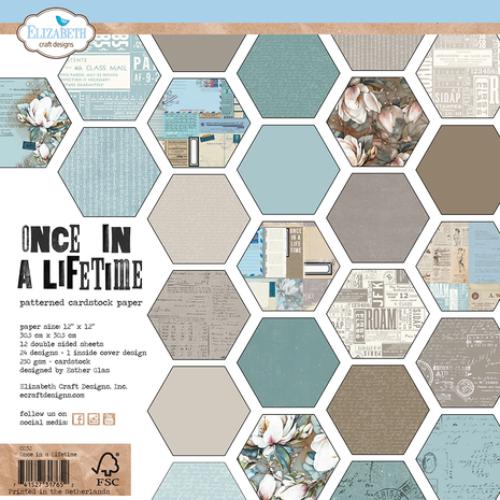 Elizabeth Craft Designs Once in a Lifetime 12x12 Inch Patterned Cardstock Paper (C032) - Postage as per Actual