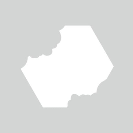 Crafter's Companion 3D Emboss Macro Aperture Folders Alluring Anemones (CC-3DEF5.5-MD-STEN-ALAN)