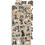 Craft O'Clock Creative Extras Set 03 Cats (CC-CEX-03) - Postage as per Actual