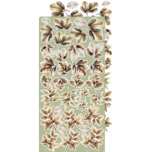 Craft O'Clock Creative Extras Set 08 Leaves 2 (CC-CEX-08) - Postage as per Actual