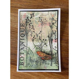 Creative Expressions Sam Poole Botanical Collage 4 in x 6 in Clear Stamp Set