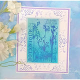 Creative Expressions Sam Poole Botanical Collage 4 in x 6 in Clear Stamp Set