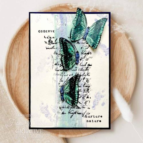 Creative Expressions Sam Poole Faded Flora 4 in x 6 in Clear Stamp Set