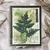 Creative Expressions Sam Poole Nature Fragments 4 in x 6 in Pre Cut Rubber Stamp