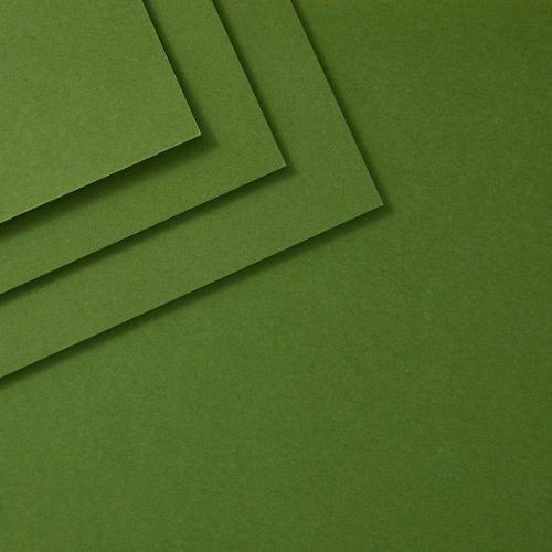 Spellbinders - Fern ColorWheel Cardstock