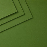 Spellbinders - Fern ColorWheel Cardstock