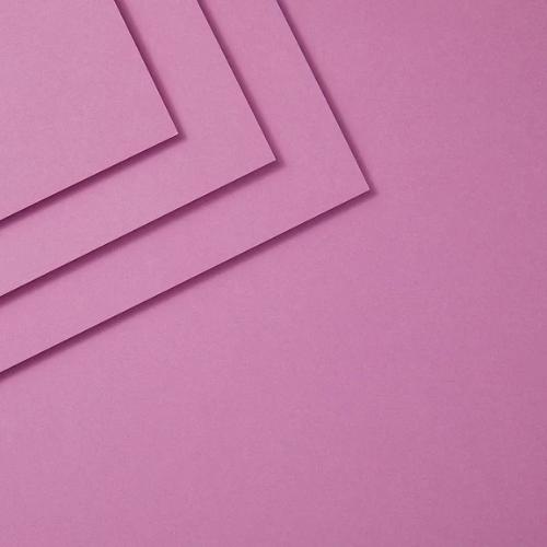 Spellbinders - Orchid Cardstock